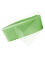 rijelina; rejelina; regelina