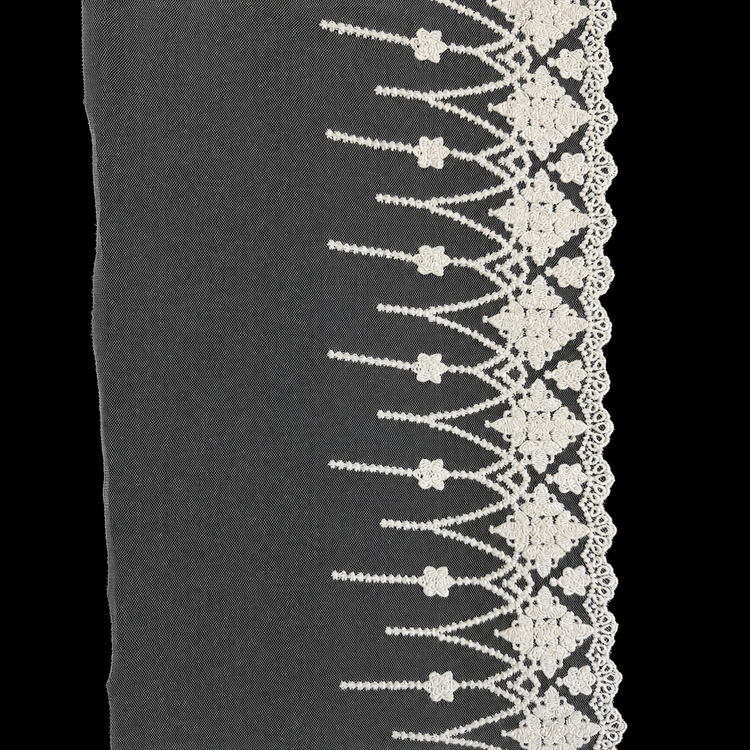 Dantelă Brodată pe Tulle – Lățime 20 cm
